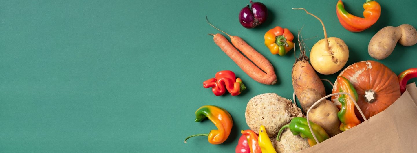 Ernährungsberater Ausbildung: Ernährungsberatung erlernen