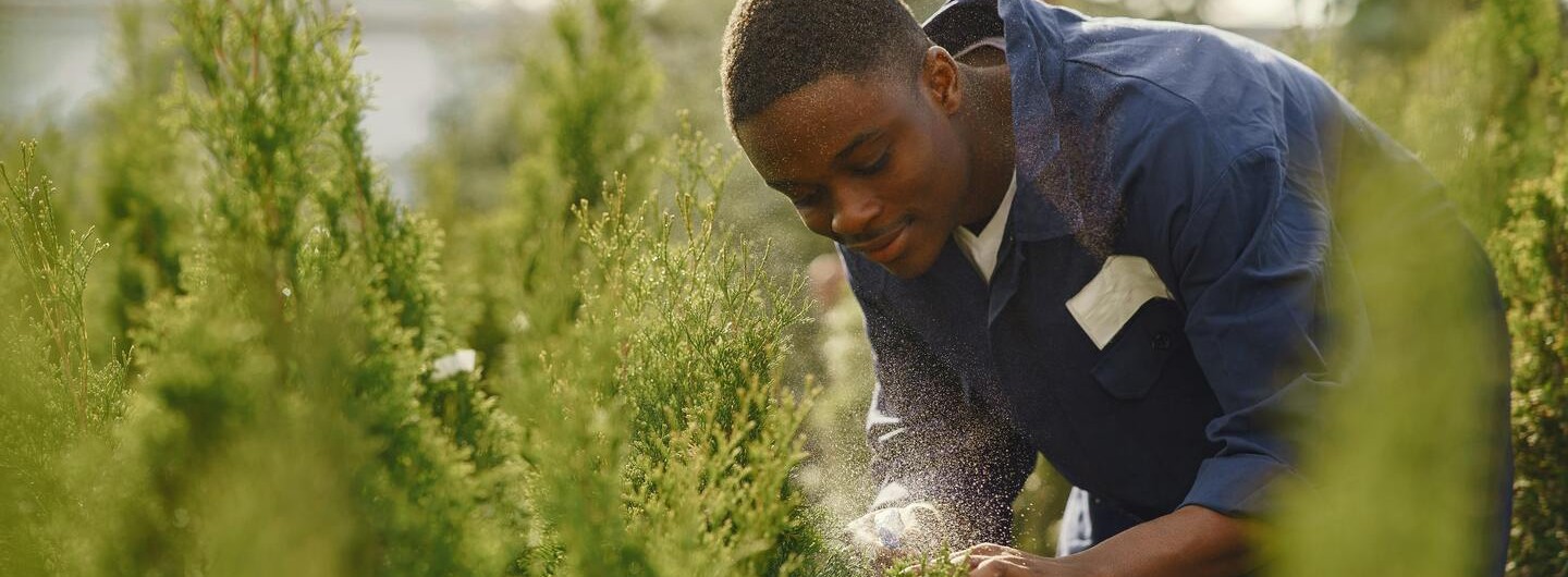 Ein Mann bewässert Pflanzen in einer Gärtnerei.