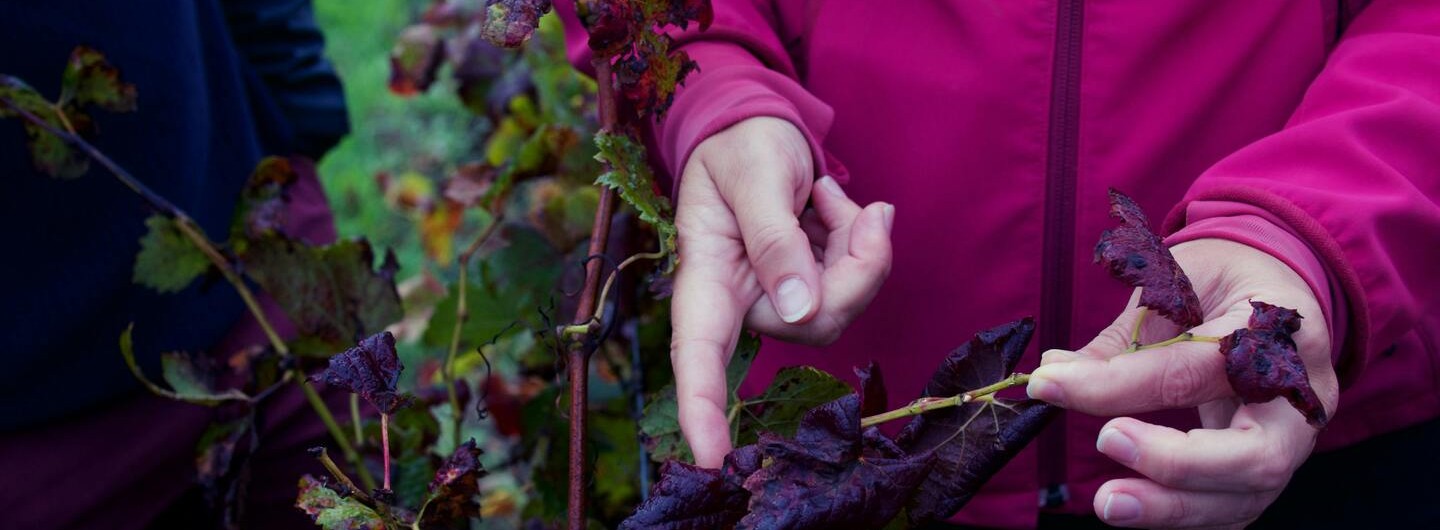 © Liv Kao | Pexels #30557521